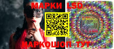амф Аша