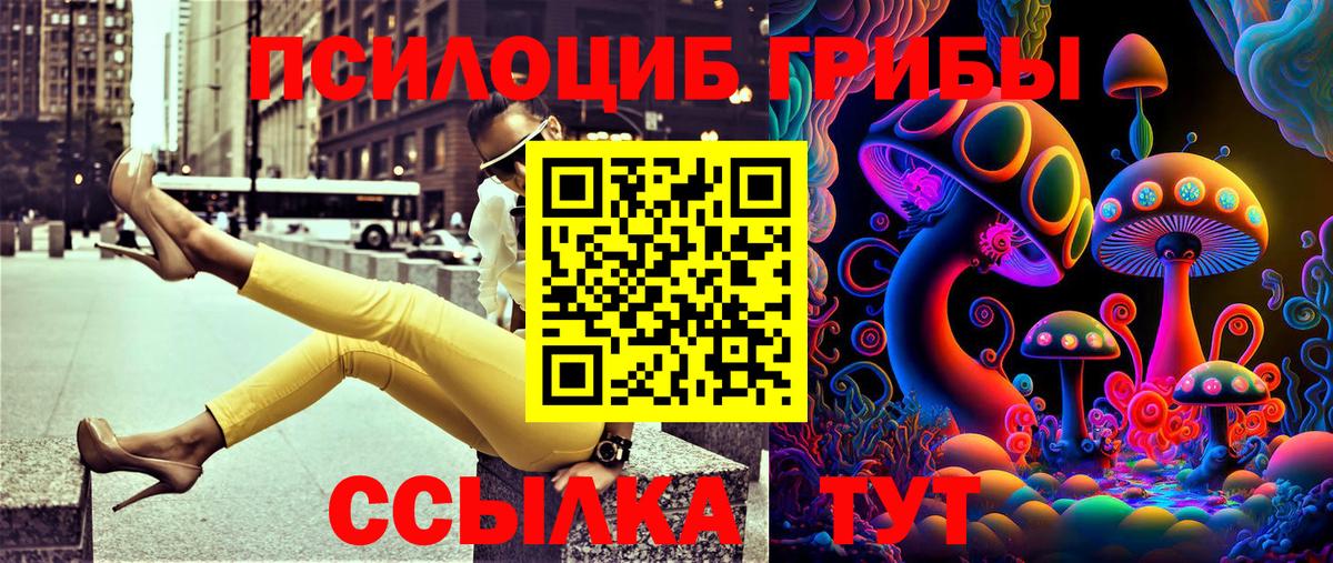 продажа наркотиков  Галлюциногенные грибы Psilocybe  Вход с VPN  Северобайкальск 